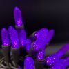 Picture of M8 50L 4" Spacing LED Purple Gr Cord