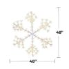 Picture of LED Sparkler Snowflake Classic White w/White Metal Frame 48"