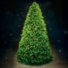 Picture of Dynamic 9' LED Noble Fir, FULL, RGBWW