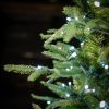 Picture of 9' Dynamic RGBWW Fraser Fir Tree - Full