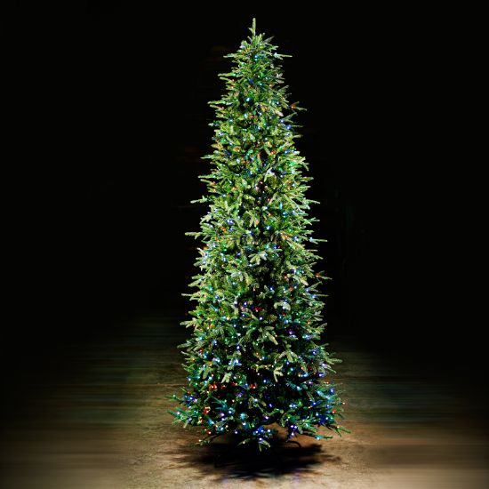 Picture of 10' Dynamic RGBWW LED One Plug Fraser Tree - Slender