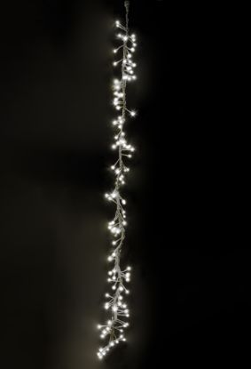 Picture of Commercial Cluster Drop - 72" CW Lights, White Cord