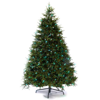 Picture of Dynamic Greenery RGB LED Fraser Fir Tree Full 9'