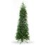 Picture of Dynamic Greenery RGB LED Fraser Tree Slender 10'