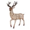 Picture of Hybrid Stag, Golden white, large