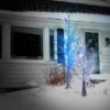 Picture of RGB LED Winter Bark Tree 6'