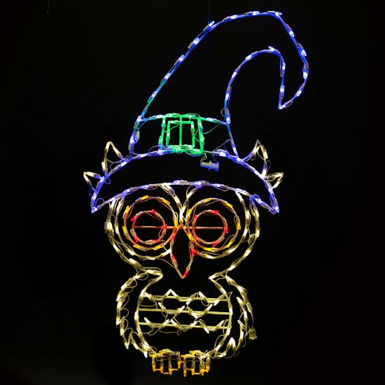 Picture of Halloween LED Witch Owl 45"