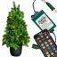 48" Oregon Potted Tree DRGBWW Picture of 48" Oregon Potted Tree DRGBWW