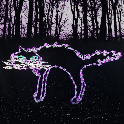 Picture of Halloween LED Scary Cat 57"