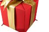 Picture of 24" 3D Nylon Gift Box - Red w/ Mylar Gold Bow