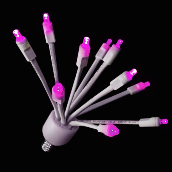 Picture of C9 Glitzer Pink lights w/white base