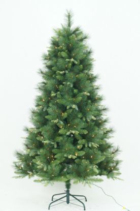 Picture of 12' Dynamic RGBWW LED Scotch Pine Full