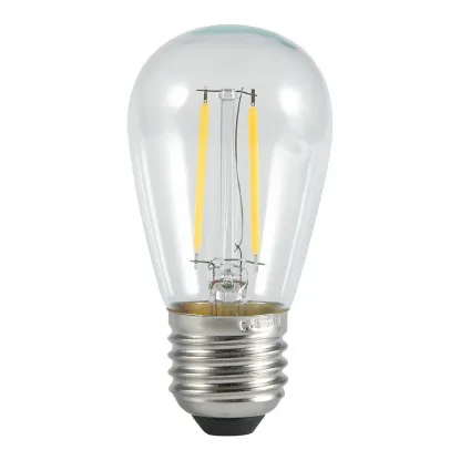 Picture of Low Voltage Edison Bulb