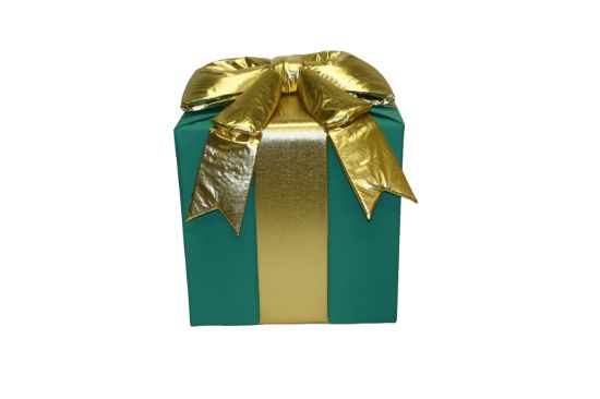 Picture of 12" 3D Nylon Gift Box - Green with Gold Mylar Bow