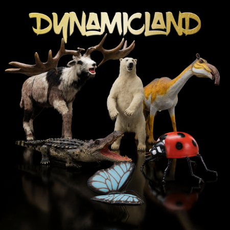 Picture for category Dynamicland®