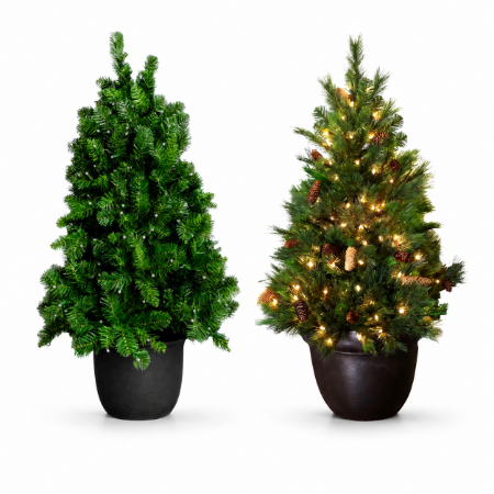 Picture for category Potted