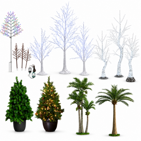 Picture for category Specialty Trees
