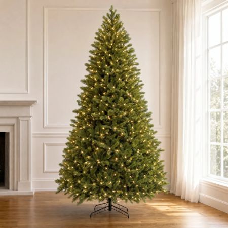 Picture for category Swiss Pine