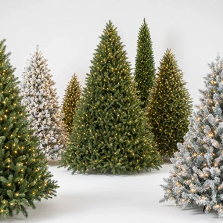 Picture for category Traditional Trees