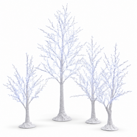 Picture for category Winter Bark